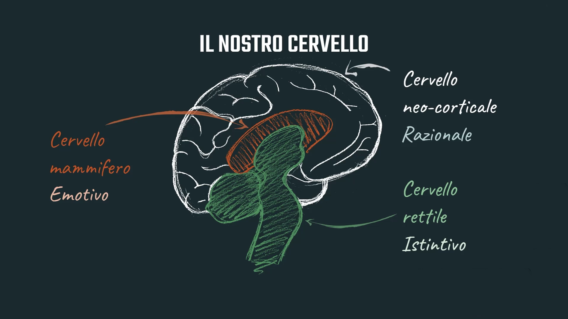 Trailer Neuromarketing